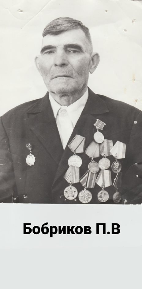Бобриков П.В.
